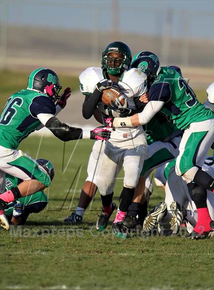 Thumbnail 1 in George Washington @ Standley Lake photogallery.