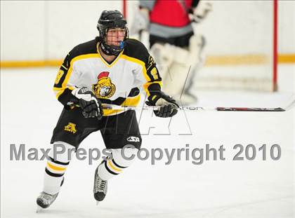 Thumbnail 2 in St. Bernard/Bacon @ Amity photogallery.