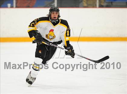 Thumbnail 2 in St. Bernard/Bacon @ Amity photogallery.