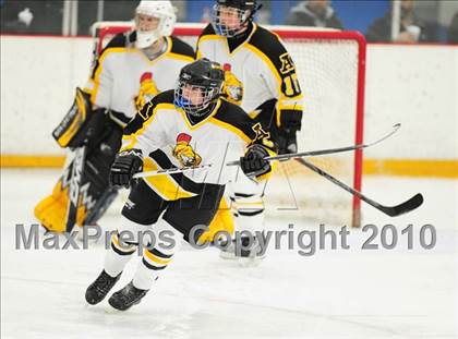 Thumbnail 2 in St. Bernard/Bacon @ Amity photogallery.