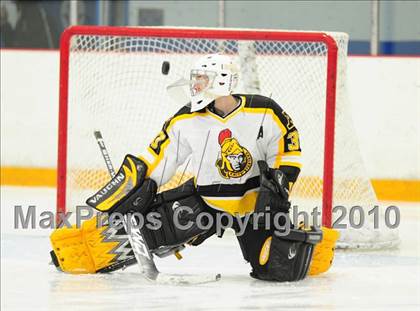 Thumbnail 2 in St. Bernard/Bacon @ Amity photogallery.