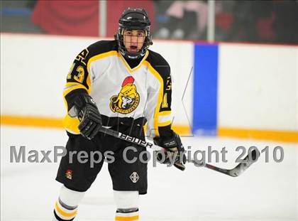Thumbnail 2 in St. Bernard/Bacon @ Amity photogallery.