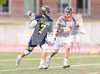 Thumbnail 3 in Newton North vs. Xaverian Brothers (MIAA Division 1 South Quarterfinal) photogallery.