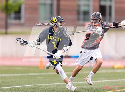 Thumbnail 3 in Newton North vs. Xaverian Brothers (MIAA Division 1 South Quarterfinal) photogallery.