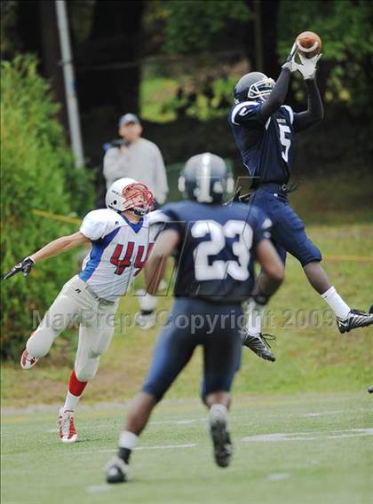Thumbnail 1 in Tolland @ Wethersfield photogallery.