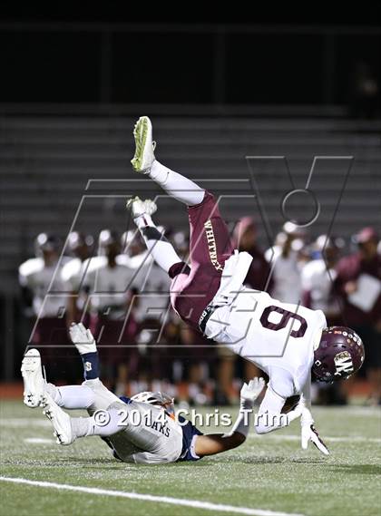 Thumbnail 1 in Whitney @ Cosumnes Oaks photogallery.