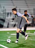 Photo from the gallery "Laguna Creek @ Monterey Trail"