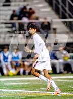 Photo from the gallery "Laguna Creek @ Monterey Trail"