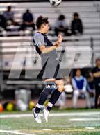 Photo from the gallery "Laguna Creek @ Monterey Trail"