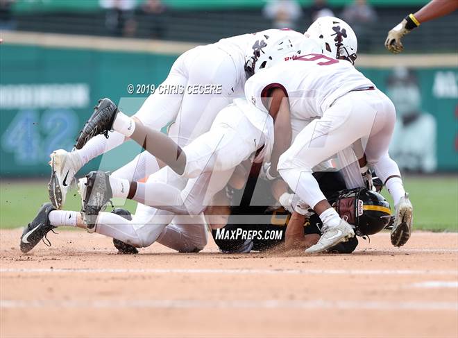 null - Photo 11