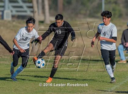 Thumbnail 3 in JV: Clark @ Stevens photogallery.