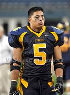 Manti Te'o