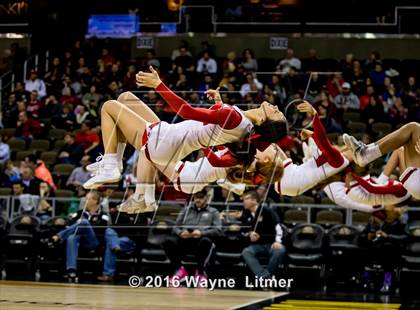 Thumbnail 2 in Holy Cross vs Dixie ( Opening Round Ninth Region) photogallery.