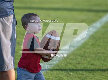 Thumbnail 1 in Ocoee @ Freedom photogallery.