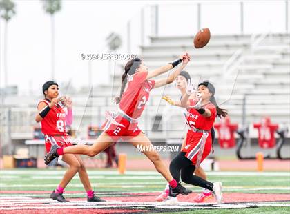 Thumbnail 1 in Channel Islands @ Hueneme photogallery.