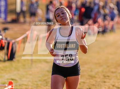 Thumbnail 1 in GIAA 2A Cross Country Final photogallery.