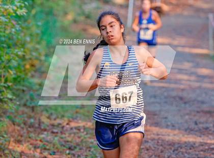 Thumbnail 2 in GIAA 2A Cross Country Final photogallery.