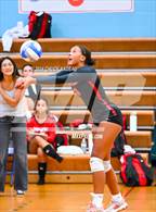 Photo from the gallery "Rogers @ Johnston"