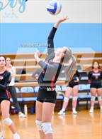 Photo from the gallery "Rogers @ Johnston"