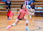 Photo from the gallery "Rogers @ Johnston"