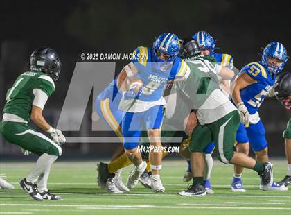 Thumbnail 3 in Virgin Valley @ Moapa Valley photogallery.