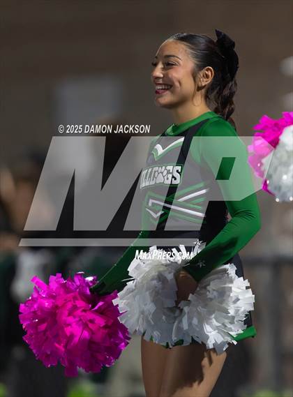 Thumbnail 1 in Virgin Valley @ Moapa Valley photogallery.