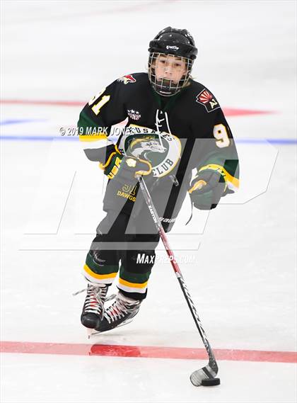 Thumbnail 3 in Horizon vs Mountain Ridge (AHSHA D3) photogallery.