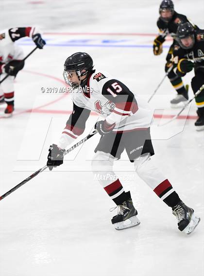 Thumbnail 3 in Horizon vs Mountain Ridge (AHSHA D3) photogallery.