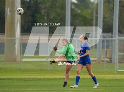 Thumbnail 2 in Baker @ Orange Beach photogallery.