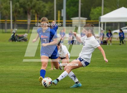 Thumbnail 1 in Baker @ Orange Beach photogallery.