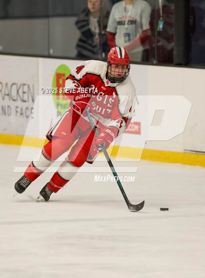 Thumbnail 1 in Regis Jesuit @ Cherry Creek (CHSAA 5A Quarterfinals) photogallery.