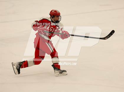 Thumbnail 2 in Regis Jesuit @ Cherry Creek (CHSAA 5A Quarterfinals) photogallery.