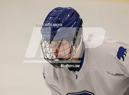 Thumbnail 3 in Regis Jesuit @ Cherry Creek (CHSAA 5A Quarterfinals) photogallery.