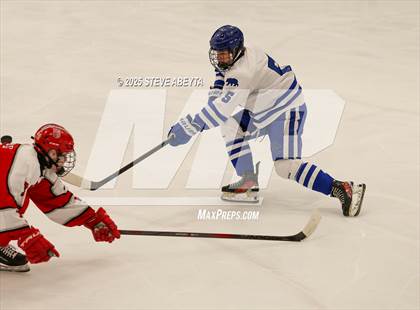 Thumbnail 3 in Regis Jesuit @ Cherry Creek (CHSAA 5A Quarterfinals) photogallery.