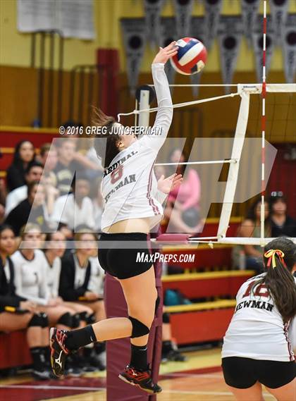 Thumbnail 3 in Windsor @ Cardinal Newman photogallery.