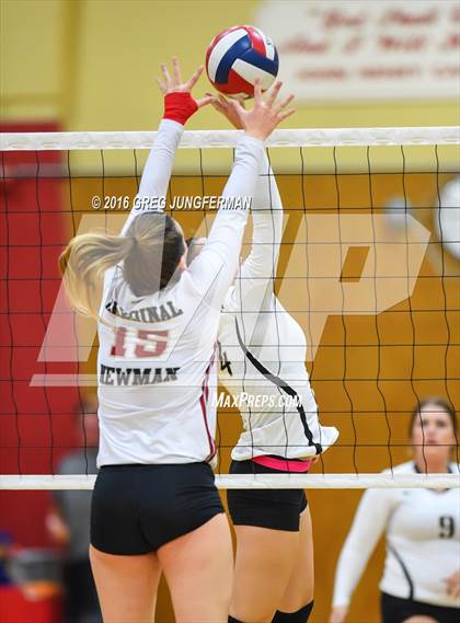 Thumbnail 3 in Windsor @ Cardinal Newman photogallery.