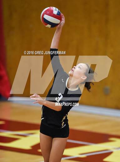 null - Photo 41