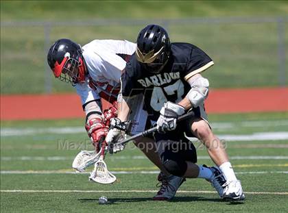 Thumbnail 3 in Barlow @ Pomperaug photogallery.