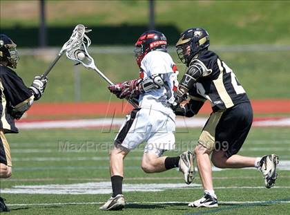 Thumbnail 1 in Barlow @ Pomperaug photogallery.
