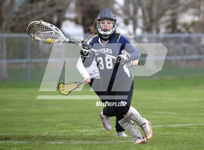 Thumbnail 1 in Ledyard @ Fitch photogallery.