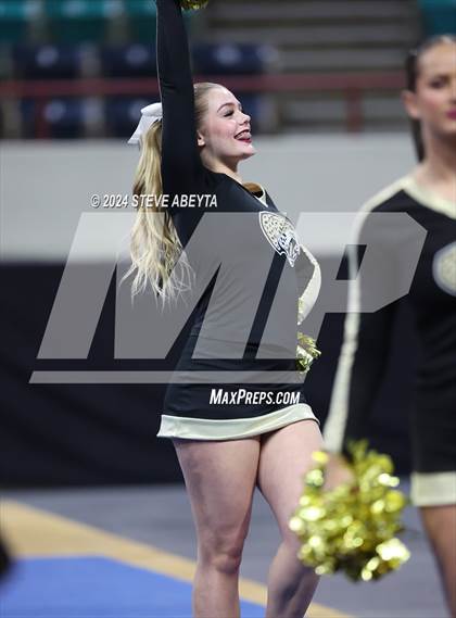 Thumbnail 2 in Rock Canyon (CHSAA 5A State Spirit Championships) photogallery.