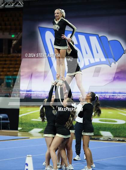 Thumbnail 1 in Rock Canyon (CHSAA 5A State Spirit Championships) photogallery.