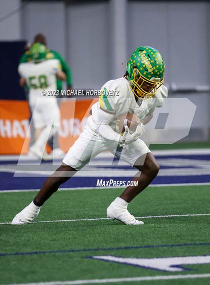 Thumbnail 3 in Reedy vs. Newman Smith (UIL 5A Football Bi-District) photogallery.
