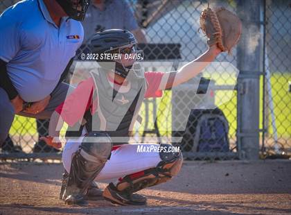 Thumbnail 2 in Paradise Valley @ Higley photogallery.