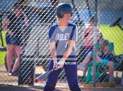 Thumbnail 2 in Paradise Valley @ Higley photogallery.