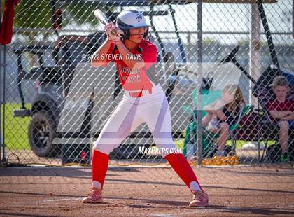 Thumbnail 3 in Paradise Valley @ Higley photogallery.