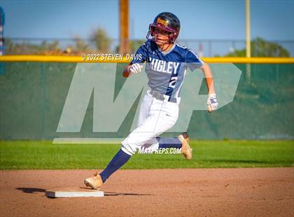 Thumbnail 3 in Paradise Valley @ Higley photogallery.