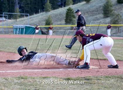 Thumbnail 1 in Conifer vs. Golden photogallery.
