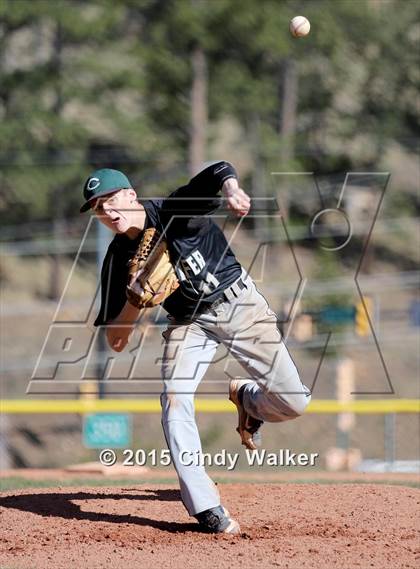 Thumbnail 1 in Conifer vs. Golden photogallery.