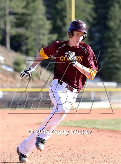 Thumbnail 3 in Conifer vs. Golden photogallery.